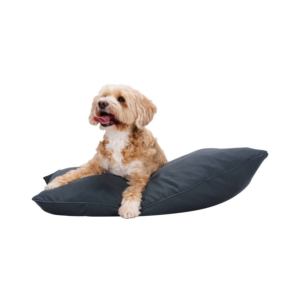 Haustierbett anthrazit Polyester B/H/L: ca. 60x15x80 cm