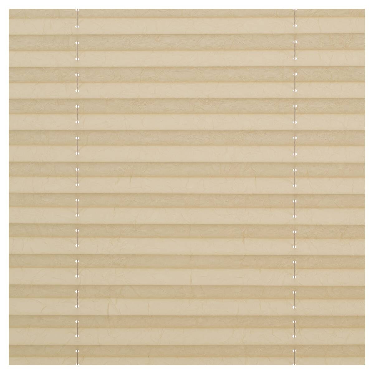 LICHTBLICK Spannplissee creme B/L: ca. 55x130 cm