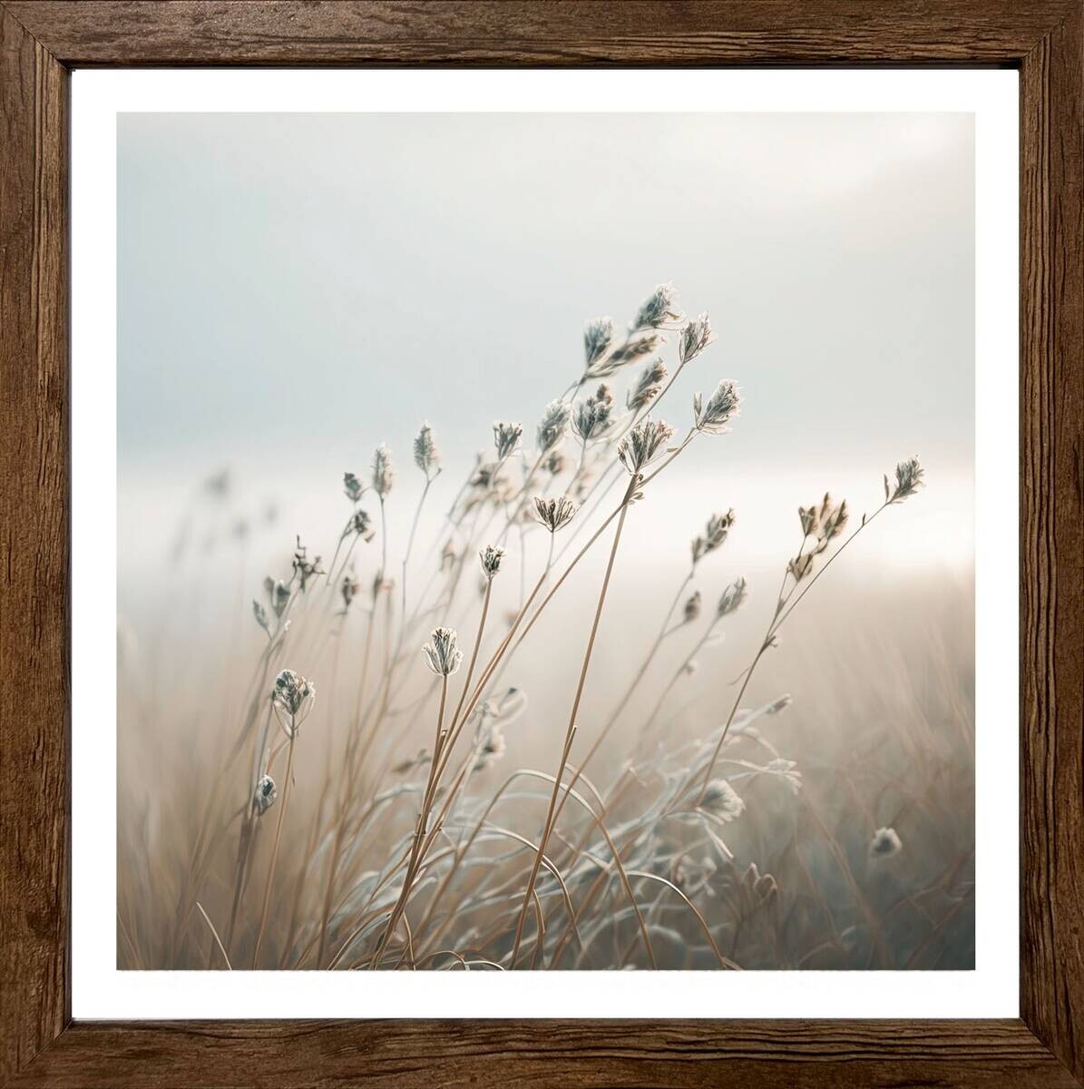 Bönninghoff Gerahmtes Bild Gräser