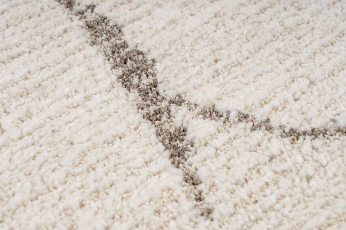 Obsession Teppich My Parma creme B/L: ca. 200x290 cm
