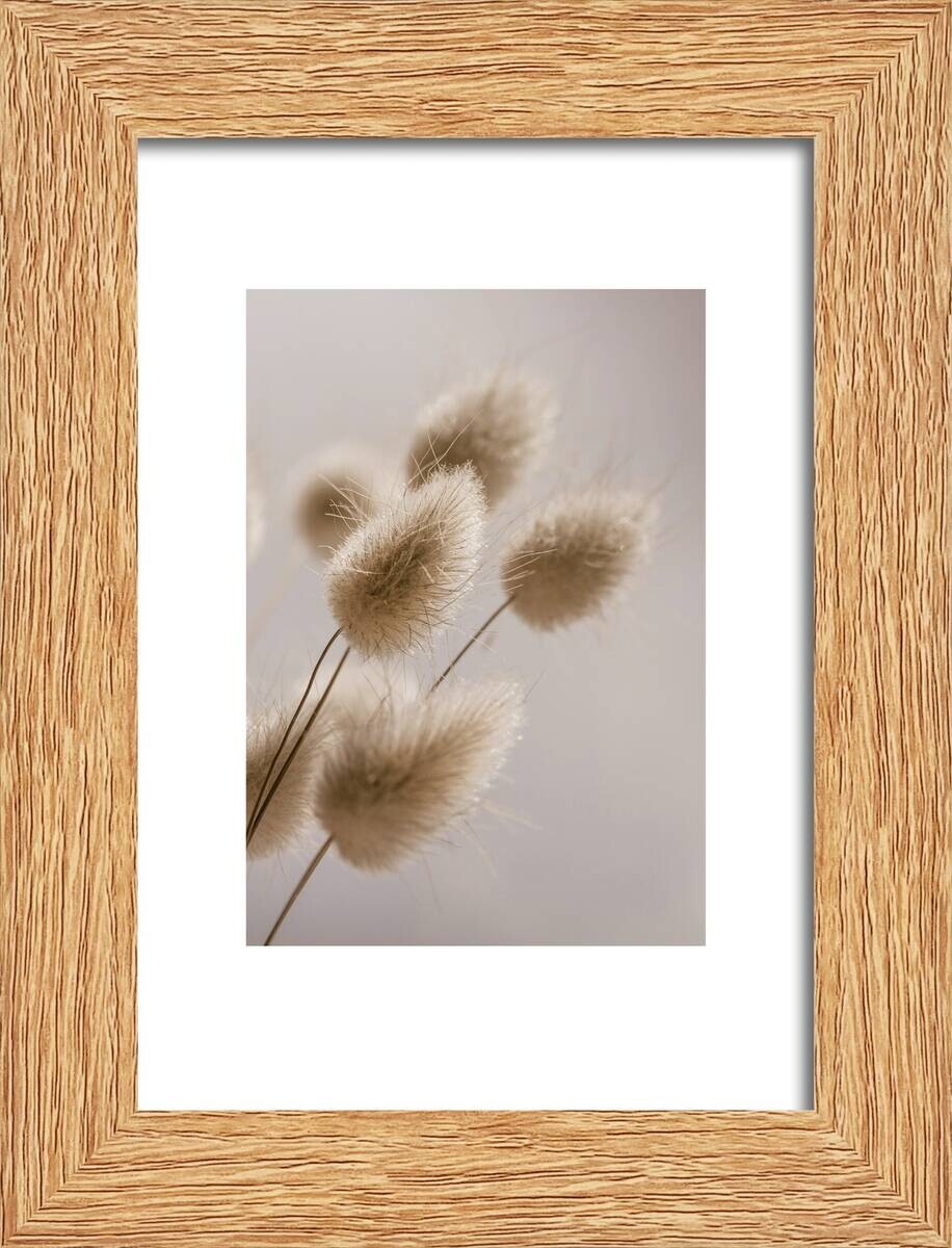 Bilderrahmen Natur Eiche Eiche H/L: ca. 10x15 cm