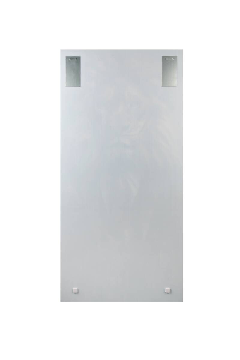 Wandbild Löwe B/H: ca. 90x180 cm