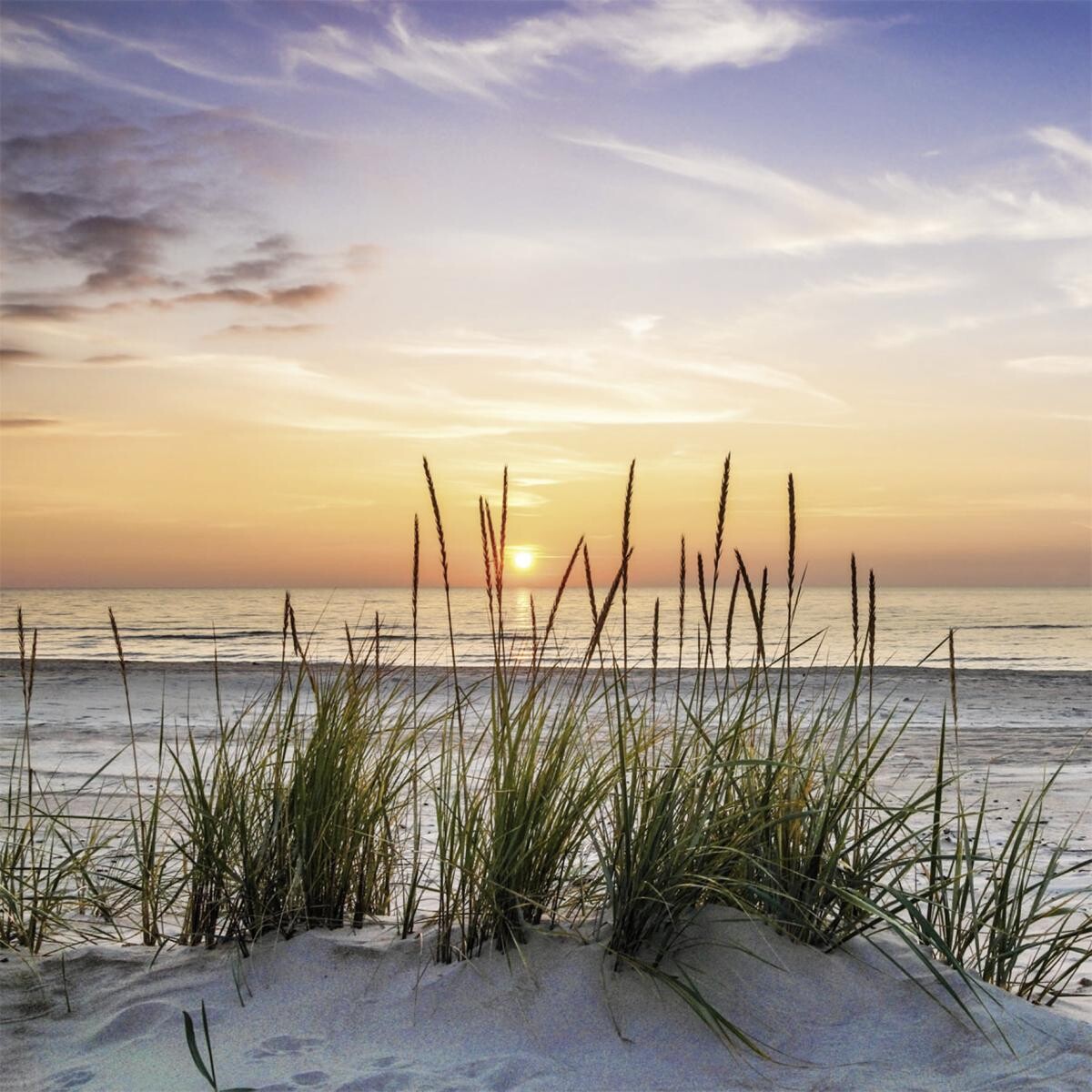 Bönninghoff Keilrahmenbild Strand B/L: ca. 35x35 cm