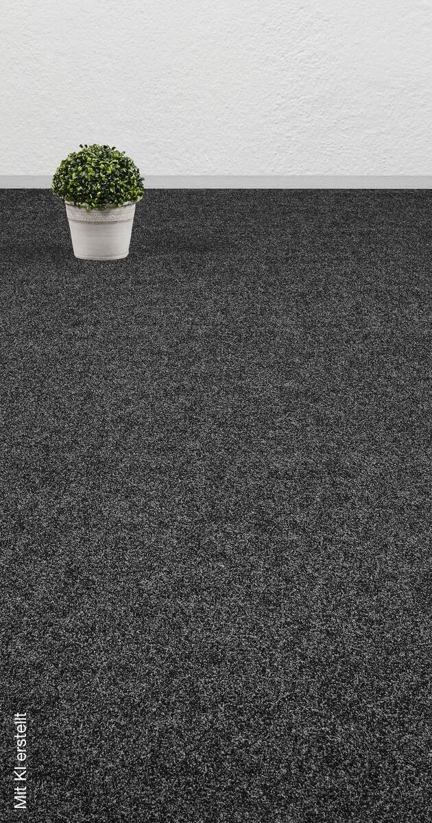 Nadelfilz Sprinter anthrazit B: ca. 200 cm