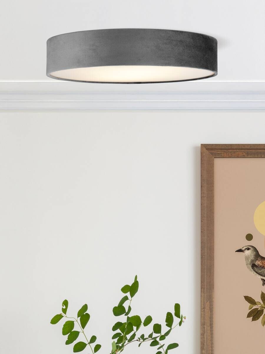 Searchlight Deckenleuchte Drum grau Stahl Samt B/H/L/D: ca. 50x10x50x50 cm E27 3 Brennstellen