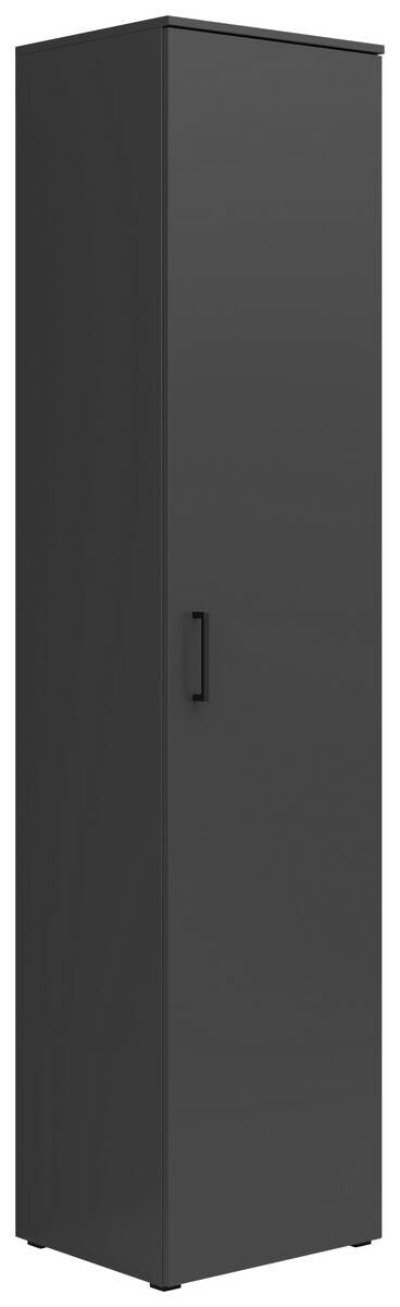 Schrank Multi-Stauraum Typ 20 anthrazit B/H/T: ca. 45x195x40 cm