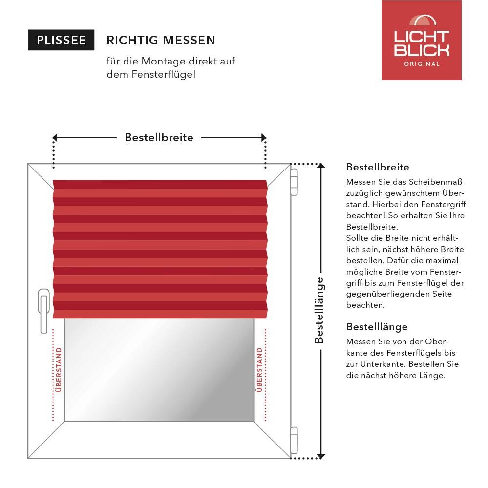 LICHTBLICK Spannplissee hellgrau B/L: ca. 110x130 cm