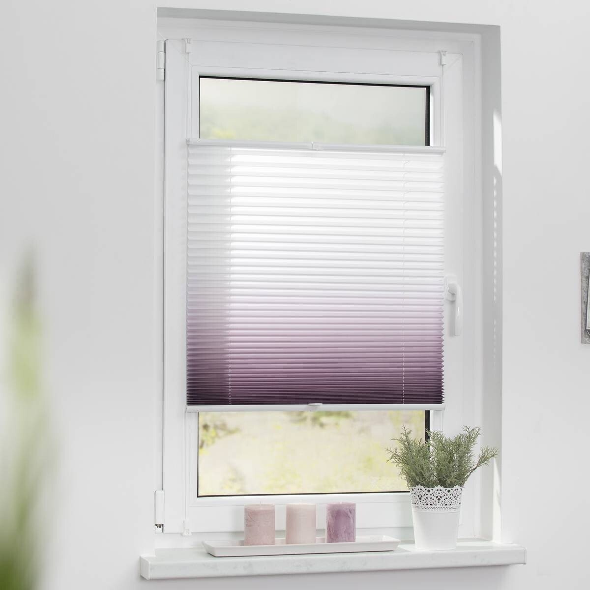 LICHTBLICK Spannplissee Farbverlauf lila B/L: ca. 120x130 cm