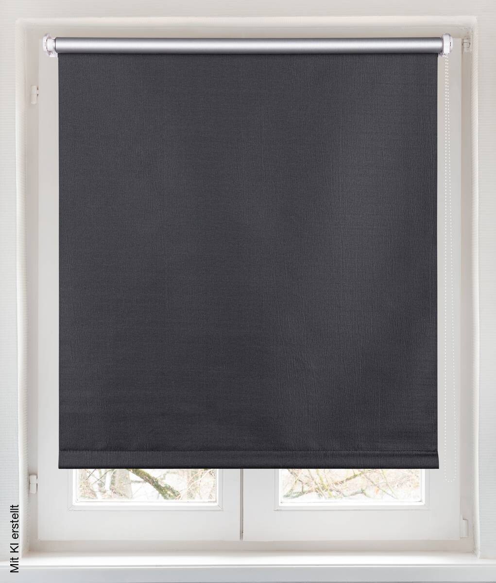 Verdunklungsrollo Darkness anthrazit B/L: ca. 60x150 cm