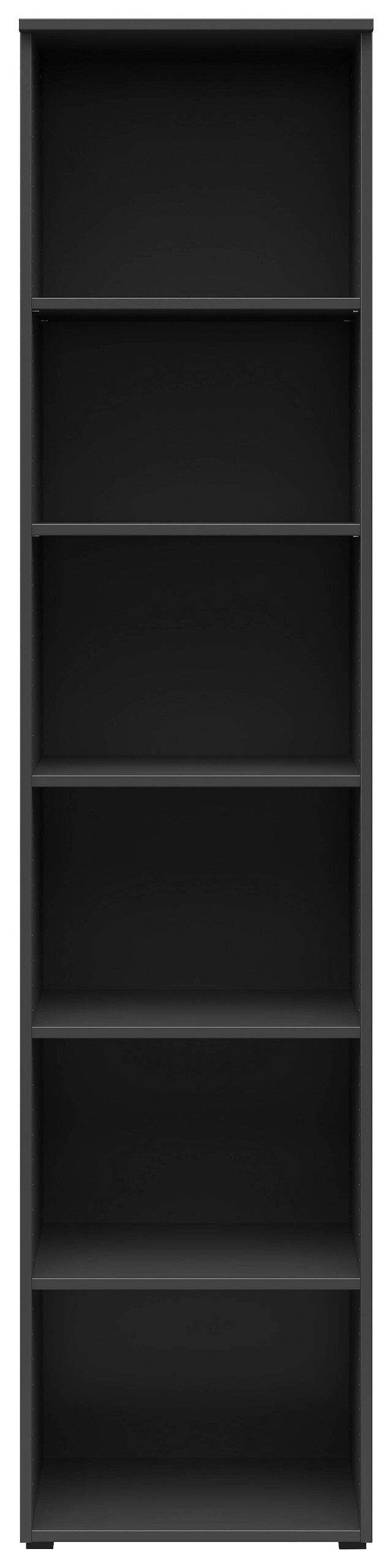 Regal Multi-Stauraum Typ 19 anthrazit B/H/T: ca. 45x195x40 cm