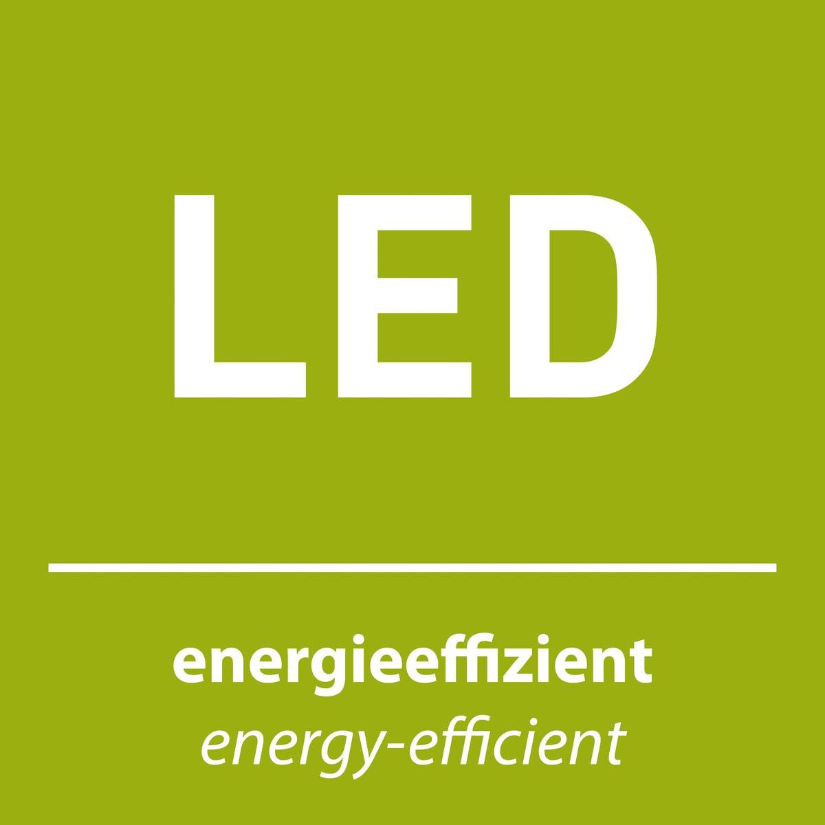 Just Light LED-Pendelleuchte BRUNO 15206-18 schwarz Aluminium Eisen B/H/T: ca. 89x120x30 cm 10 Brennstellen