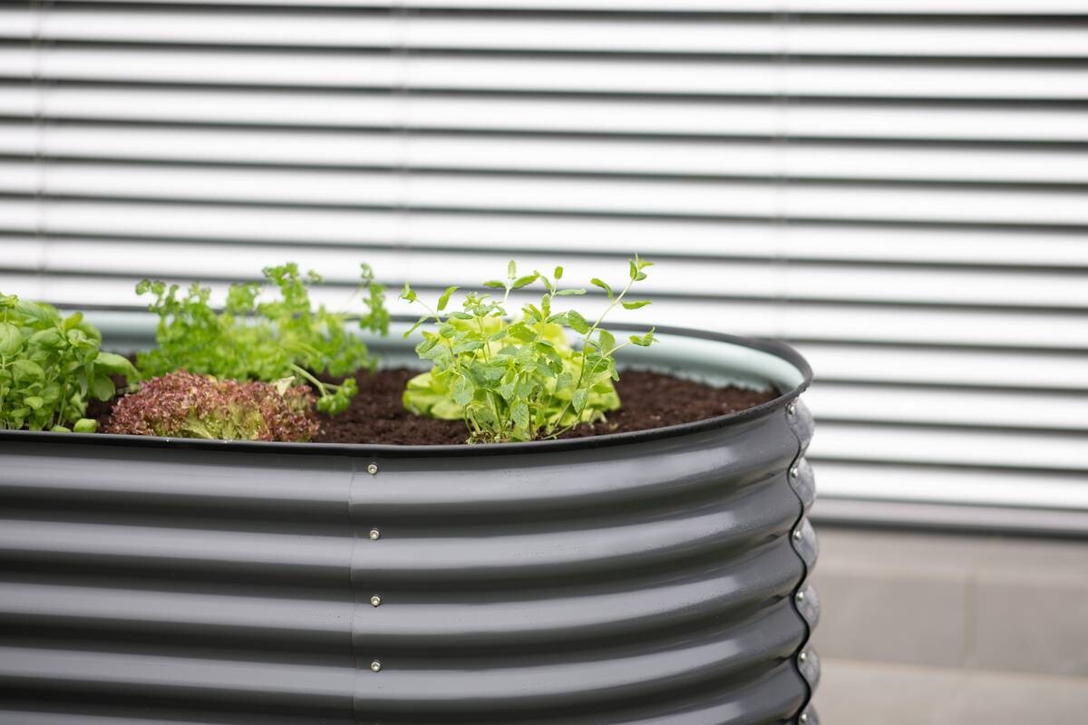 Westmann Hochbeet Oval anthrazit Metall B/H/L: ca. 80x82x160 cm