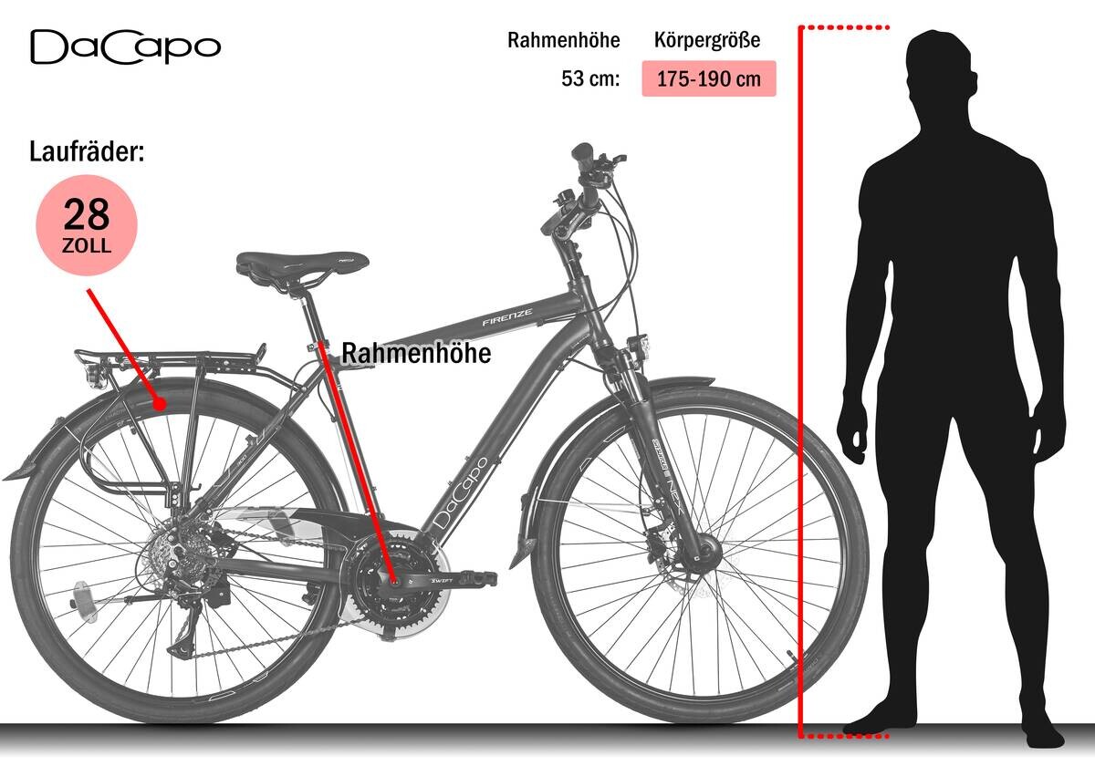 DaCapo Trekking-Bike Firenze 300 28 Zoll Rahmenhöhe 53 cm 24 Gänge bronze bronze ca. 28 Zoll