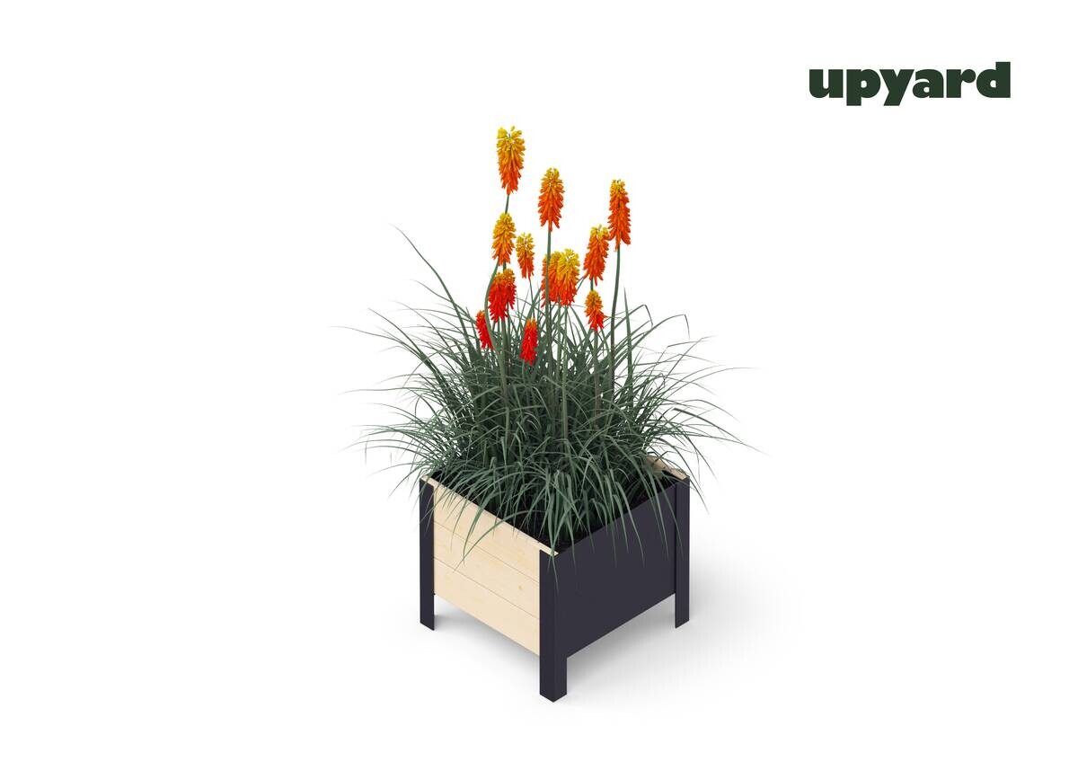 UPYARD Hochbeet MODERN natur Holz B/H/L: ca. 36x32x36 cm