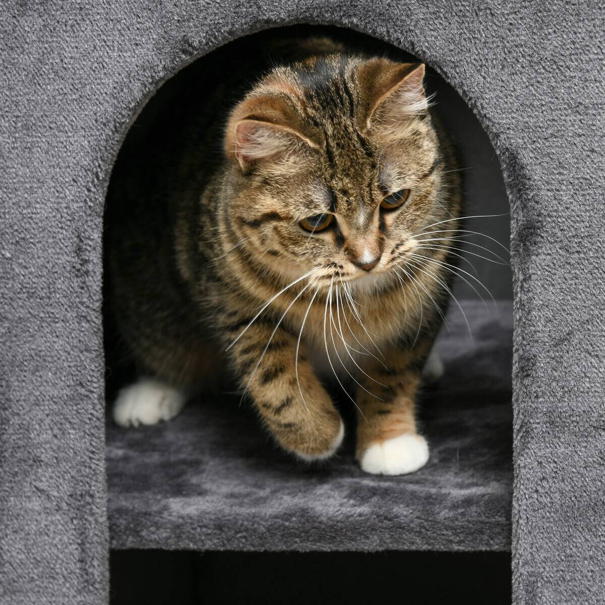 PawHut Tier-Zubehör grau Spanplatte B/H/L: ca. 45x45x81 cm