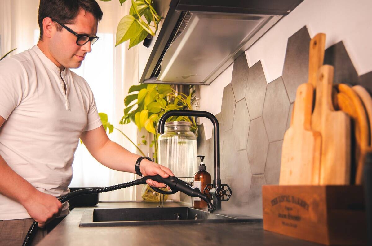 Polti Polti Dampfreiniger PRO 8X ECO PLUS grün weiß Metall Aluminium B/H/L: ca. 44,5x30,5x44,5 cm