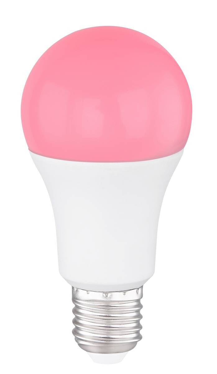 GLOBO LED-Leuchtmittel smart RGB mit Fernbedienung 106710SH E27