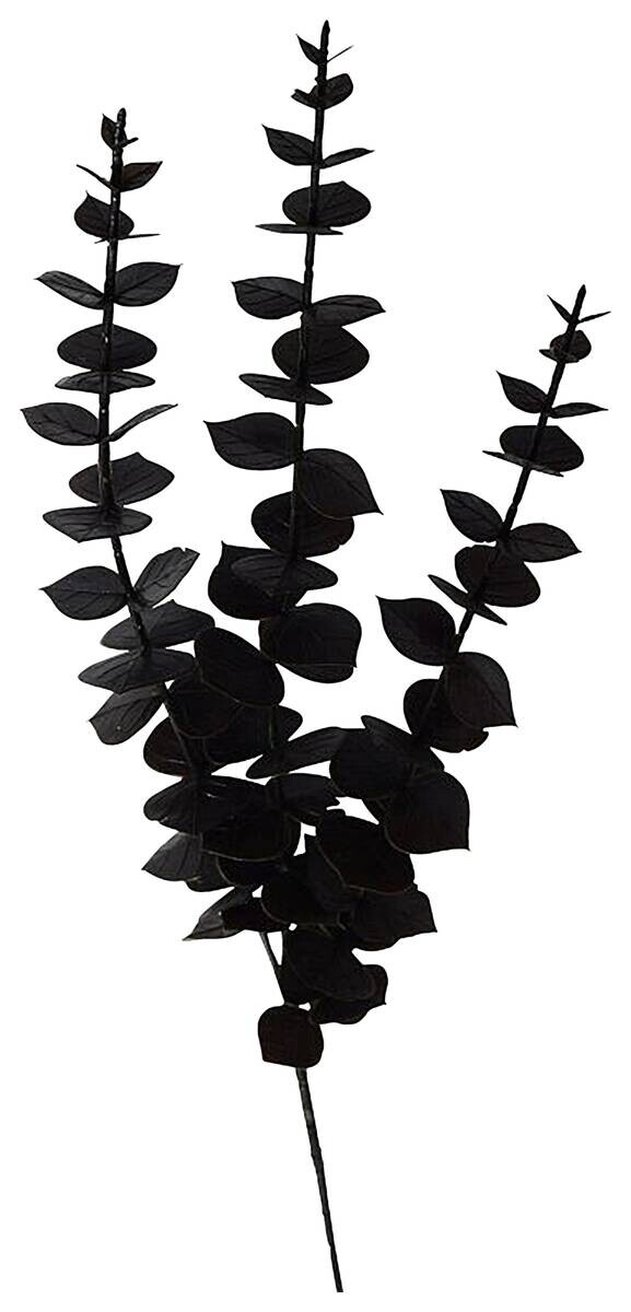 Kunstpflanze Eukalyptuszweig schwarz Kunststoff B/L: ca. 10x63 cm