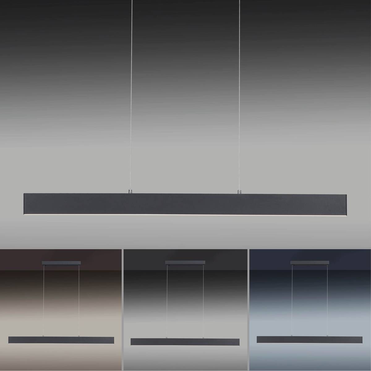 Paul Neuhaus LED-Pendelleuchte NILA 2548-13 anthrazit weiß Kunststoff Metall B/H/T: ca. 121x120x6 cm 2 Brennstellen