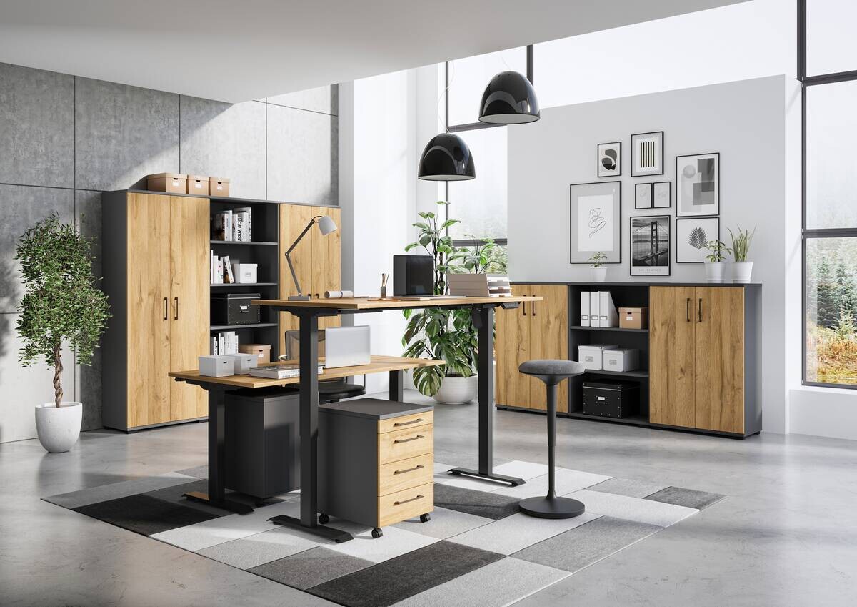 Aktenschrank 4247-564 Eiche Grand-Son Nachbildung Graphit B/H/T: ca. 80x123x40 cm