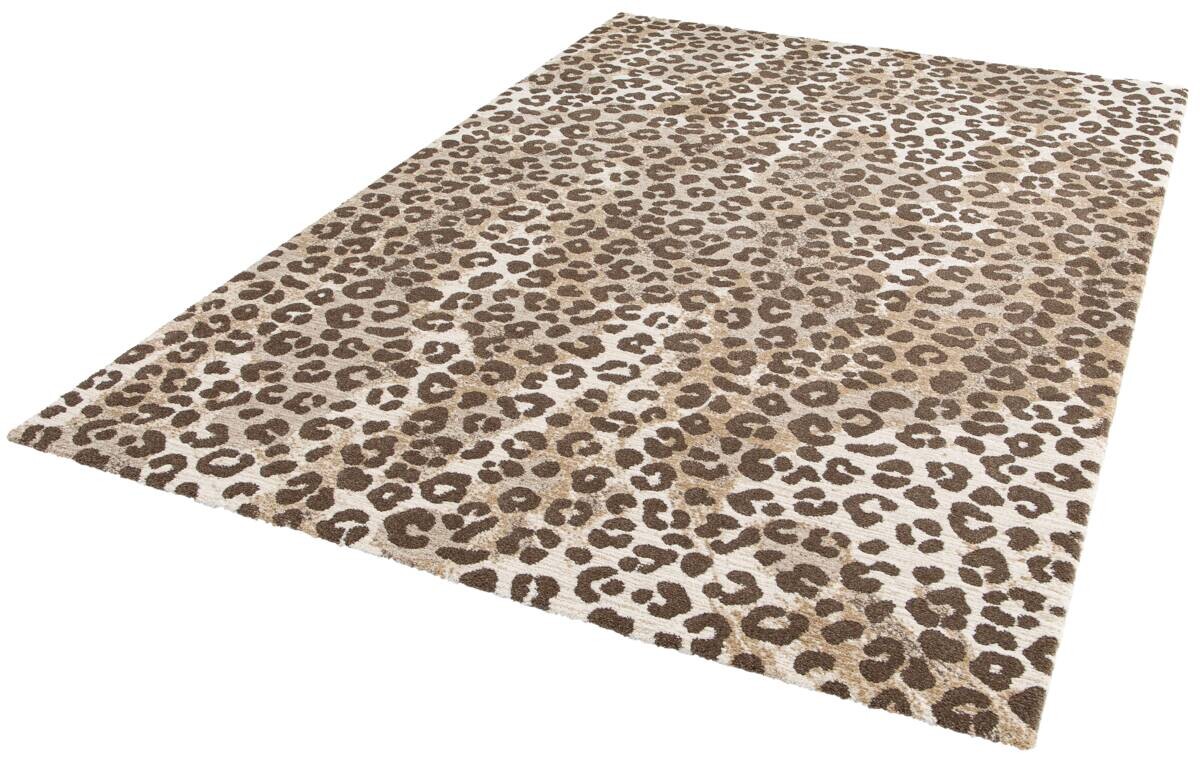 Teppich Heaven braun B/L: ca. 120x170 cm