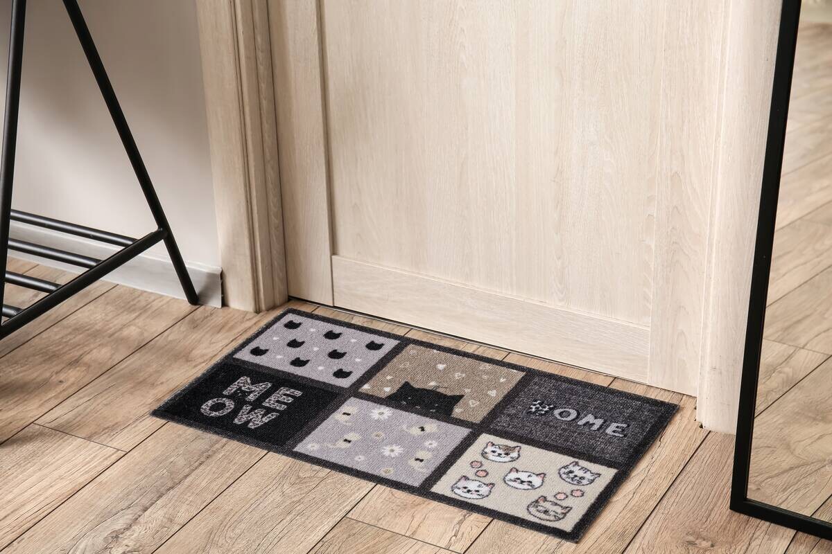 Schmutzfangmatte Vision grau B/L: ca. 40x80 cm