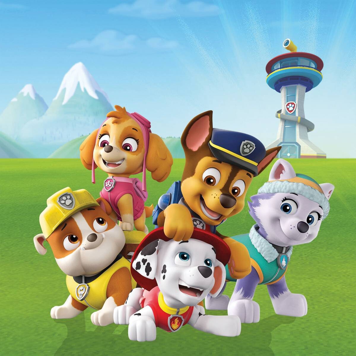 Keilrahmenbild Paw Patrol B/L: ca. 35x35 cm