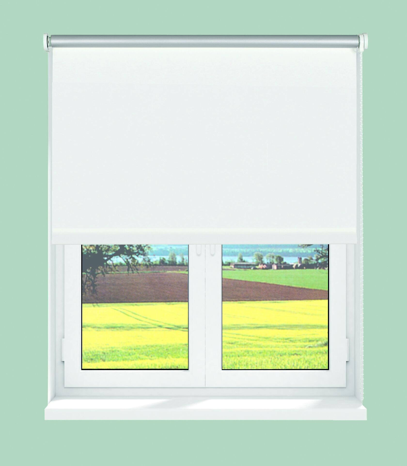 Boviva Thermo Seitenzugrollo Verdunklungsqualität weiß B/L: ca. 62x175 cm