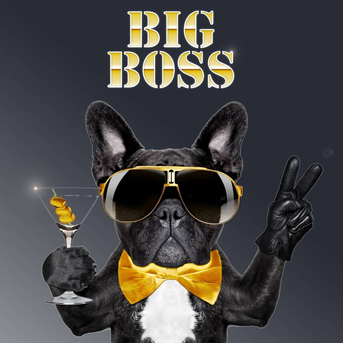 Keilrahmenbild Hund B/H: ca. 35x35 cm