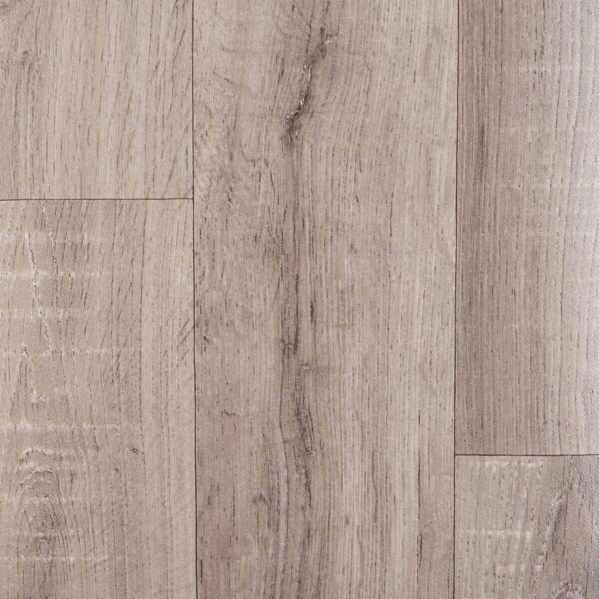 Vinylboden Bingo grau Eiche B: ca. 400 cm pro m²