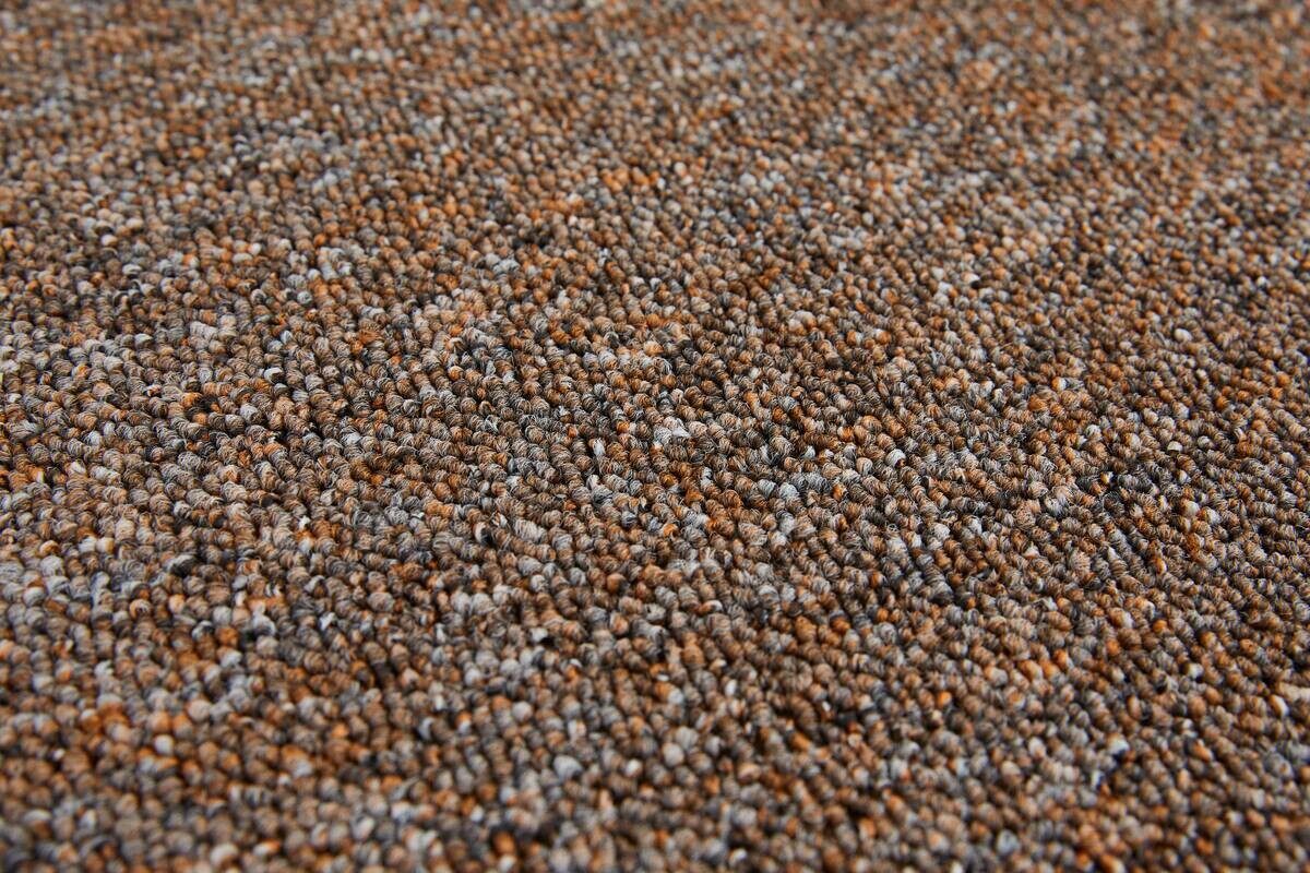Teppichboden Rico mokka B/L: ca. 200x300 cm pro Stück