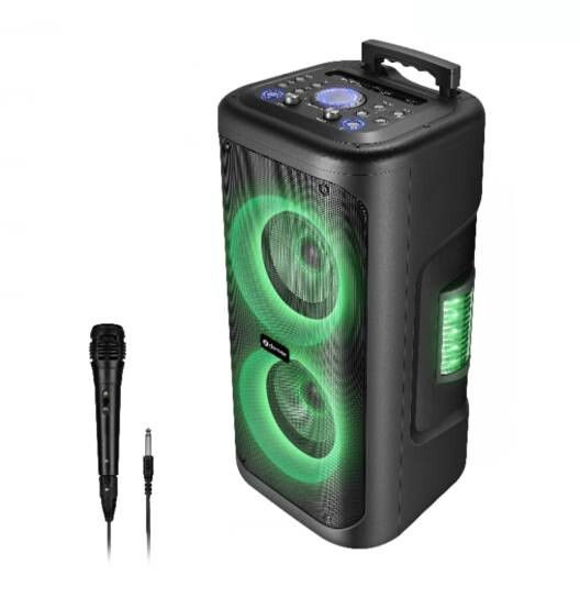 Denver Trolley Speaker TSP-353 schwarz B/H/T: ca. 30x62x28 cm