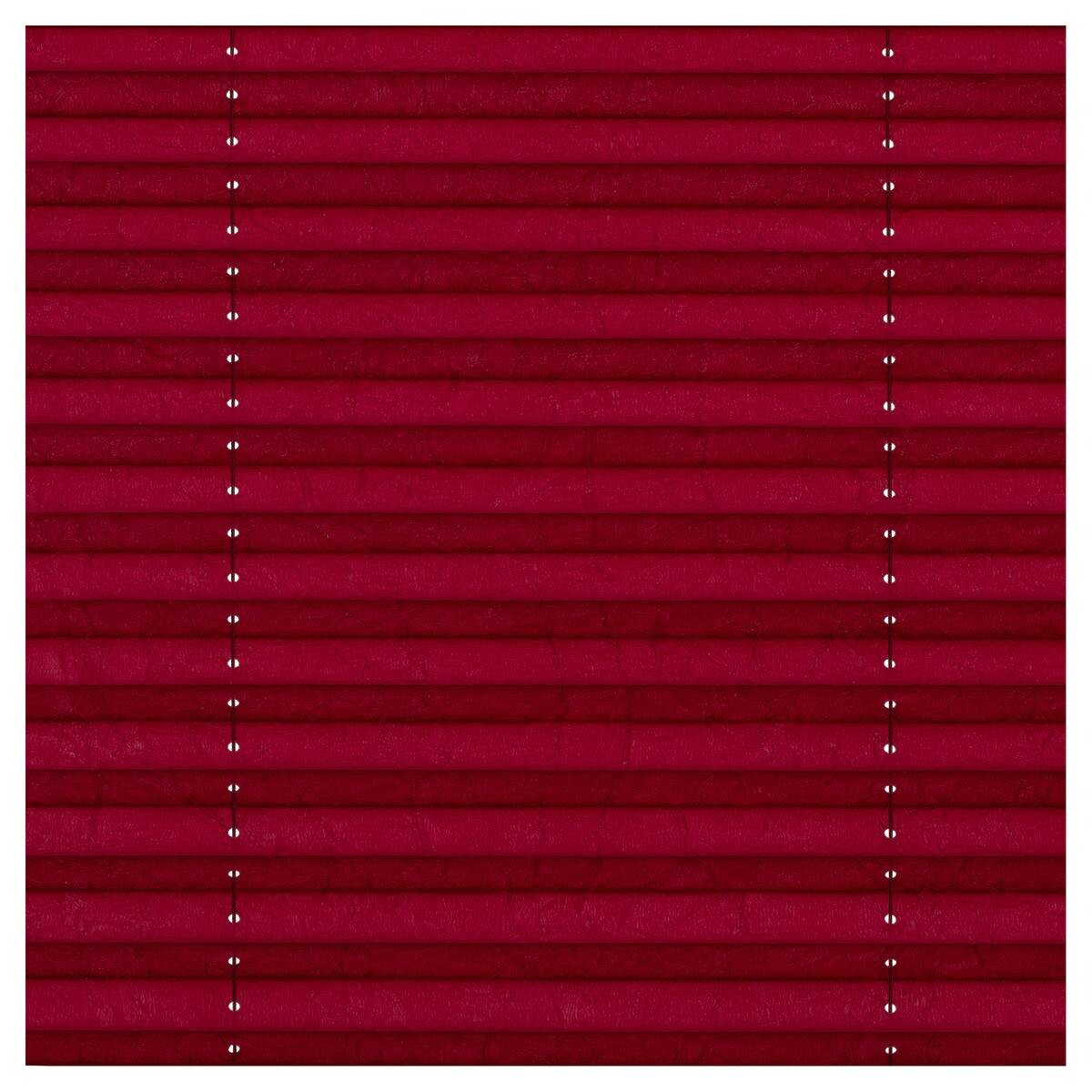 LICHTBLICK Spannplissee brombeer B/L: ca. 55x130 cm