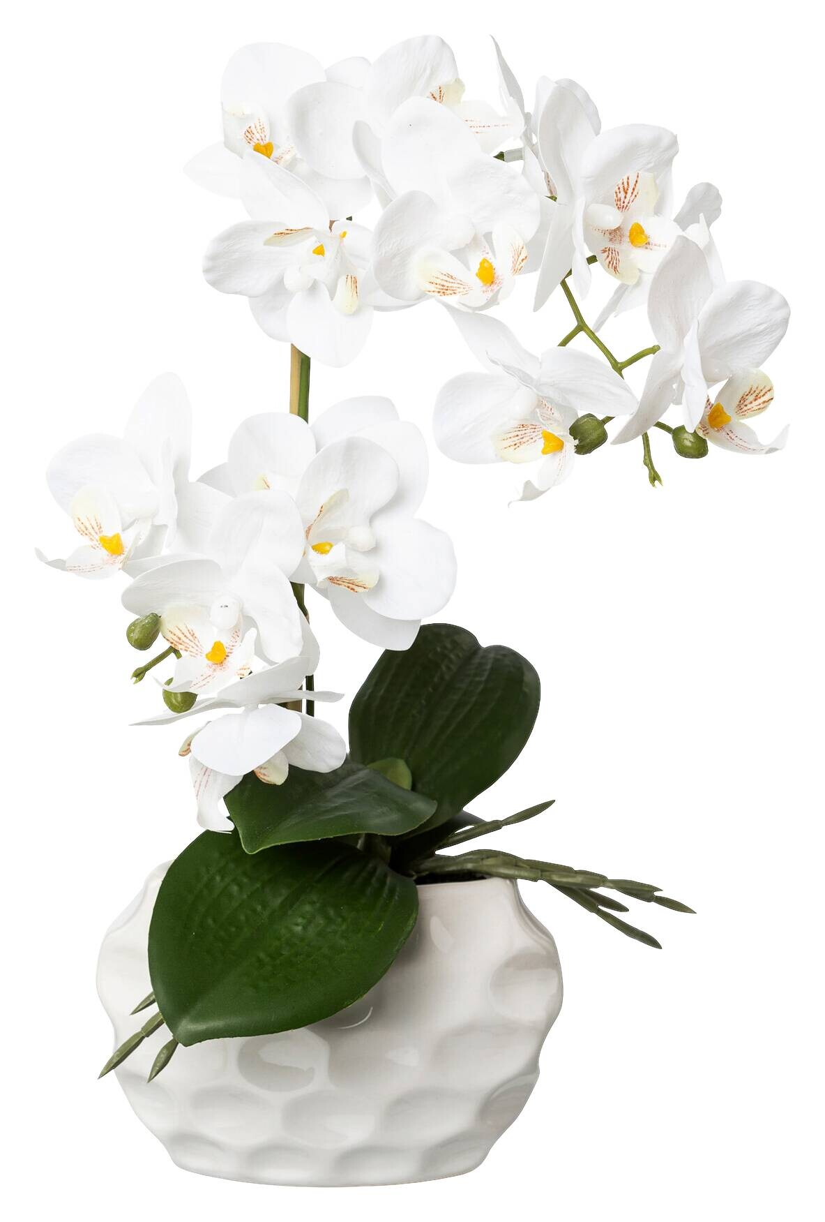Kunstpflanze Orchidee