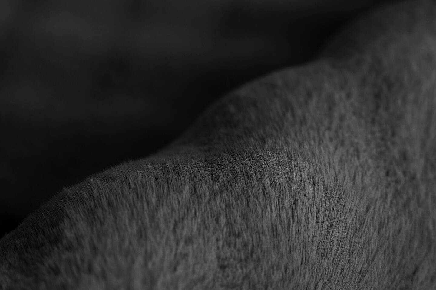 Padiro Hochflorteppich Hailey 125 schwarz B/H/L: ca. 120x3x160 cm