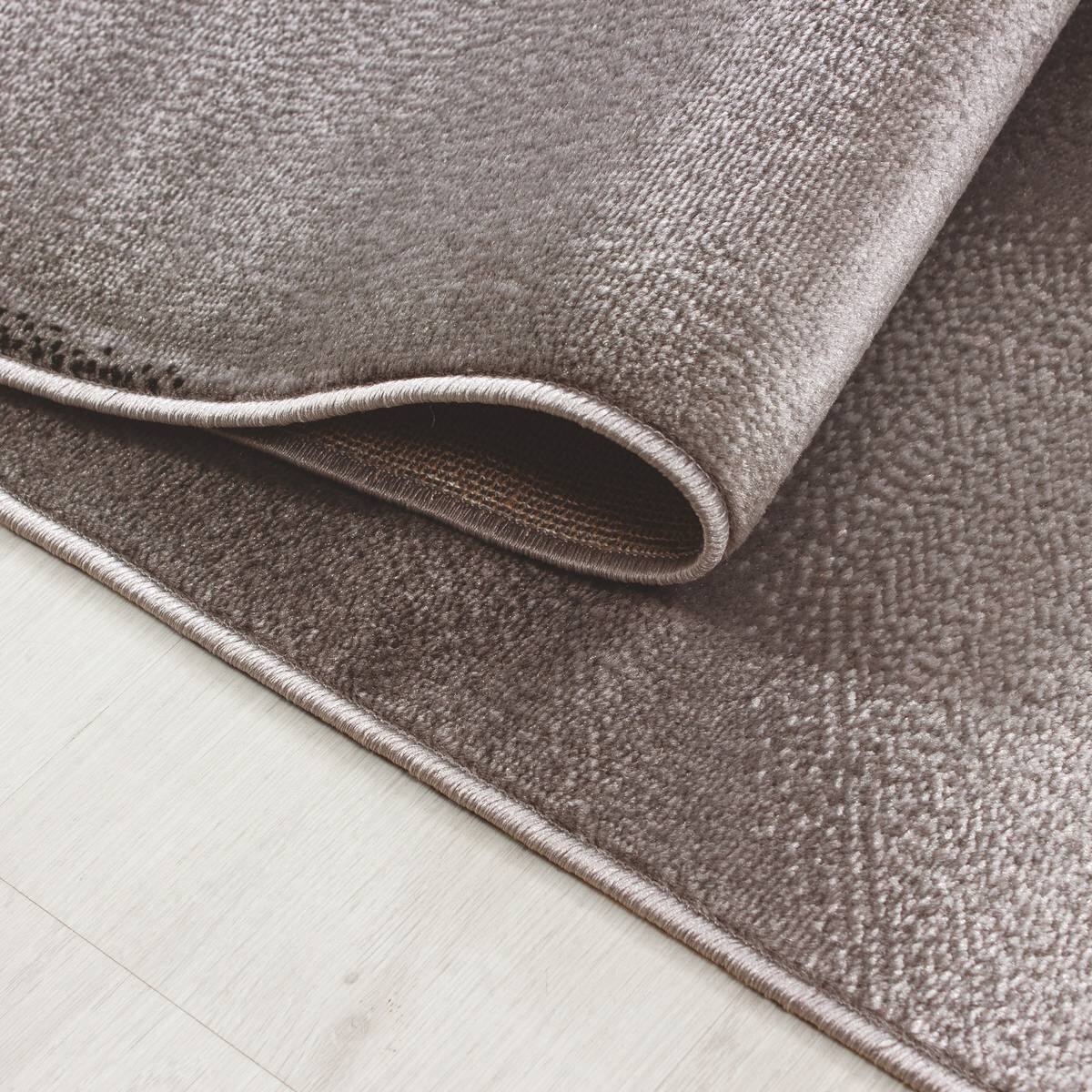 Ayyildiz Teppich PLUS braun B/L: ca. 80x150 cm