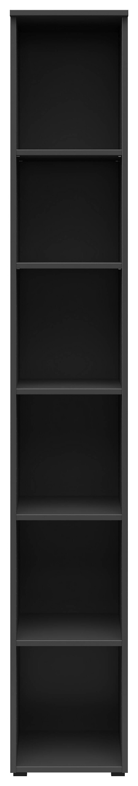 Regal Multi-Stauraum Typ 7 anthrazit B/H/T: ca. 30x195x40 cm
