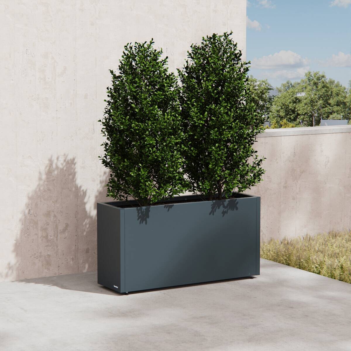Herstera Garden Pflanzkübel Cube anthrazit Metall B/H/L: ca. 100x50x30 cm