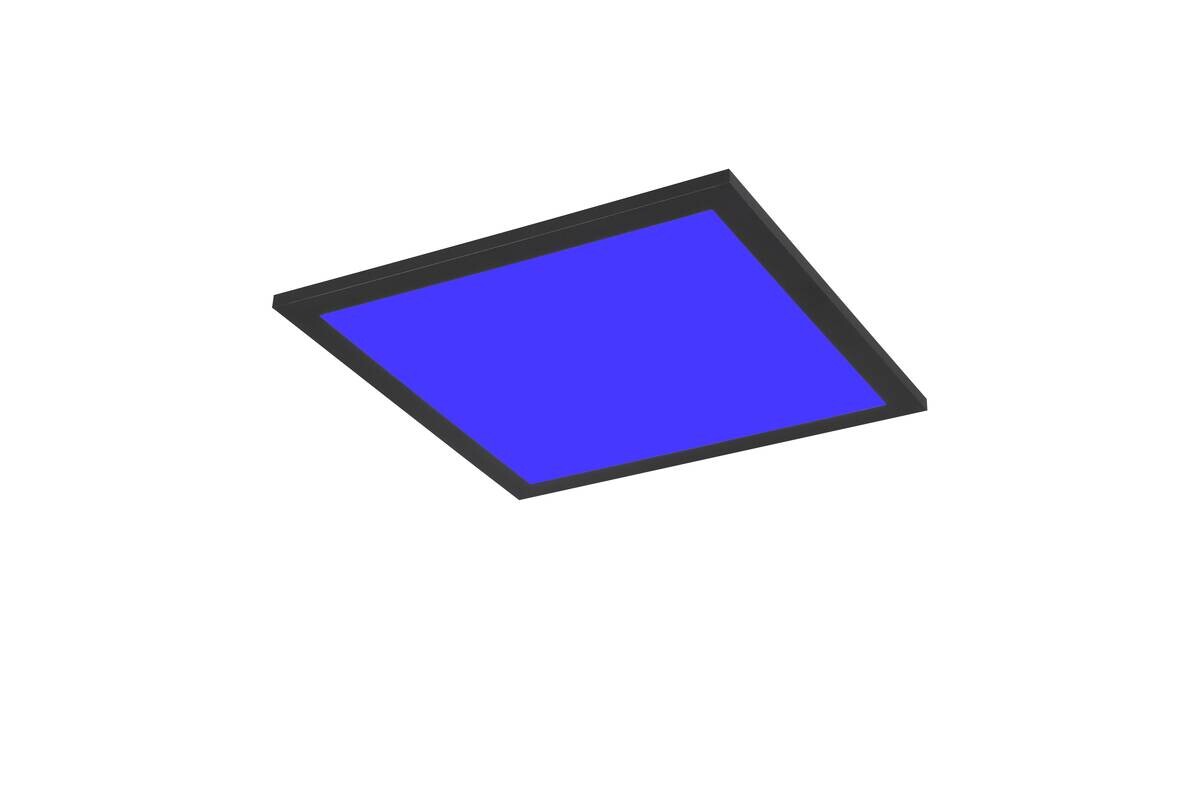 Reality LED-Deckenleuchte Beta schwarz Metall B/H/T: ca. 29,5x50x29,5 cm 1 Brennstellen