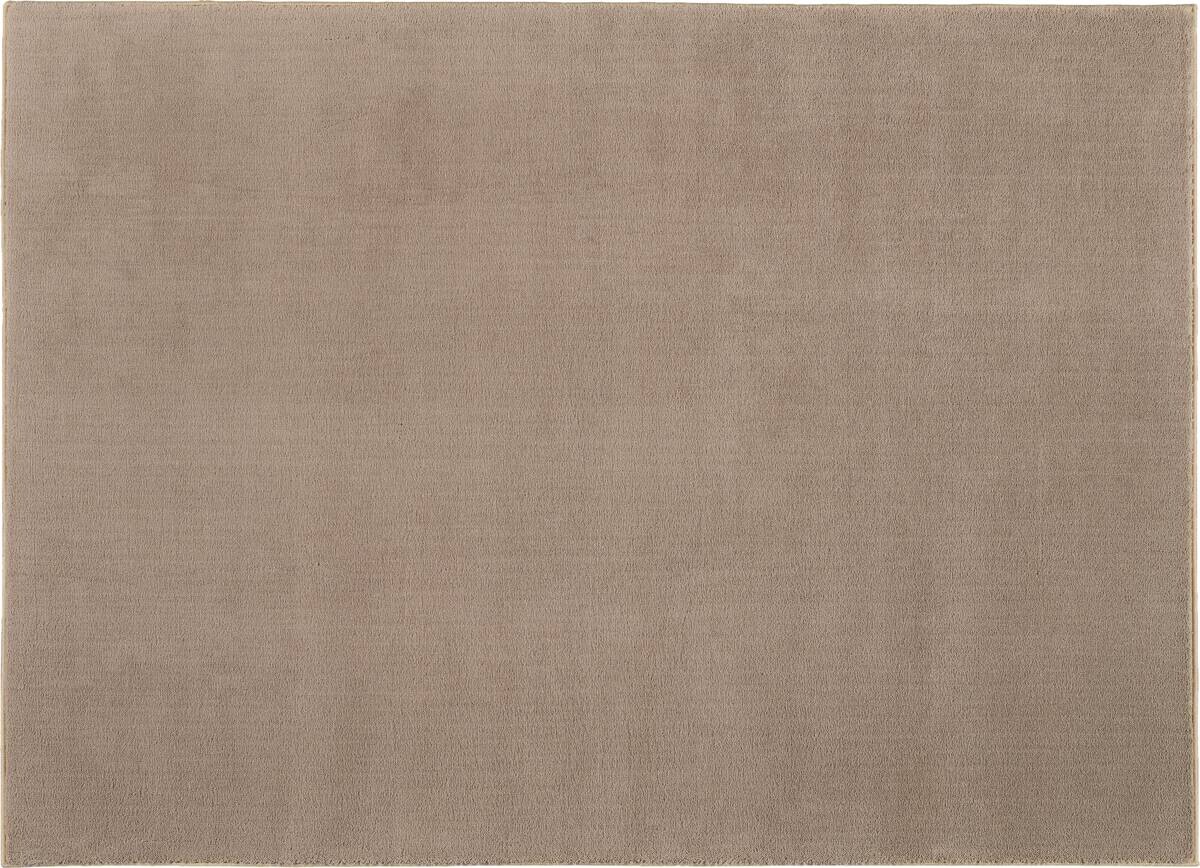 Teppich Casa taupe B/L: ca. 160x220 cm
