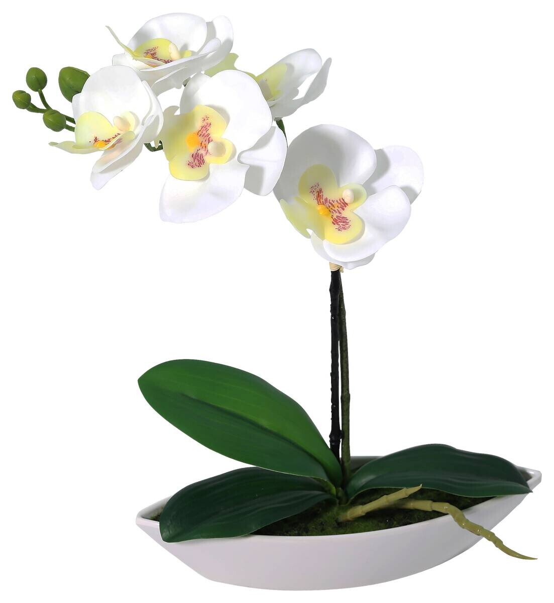 Kunstpflanze Orchidee weiß Kunststoff B/H/L: ca. 8x30x24 cm