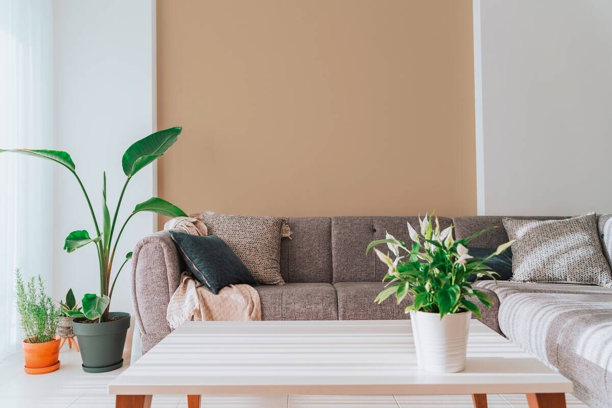 A.S.Creation Vliestapete beige B/H/D: ca. 53x1005x8,3 cm