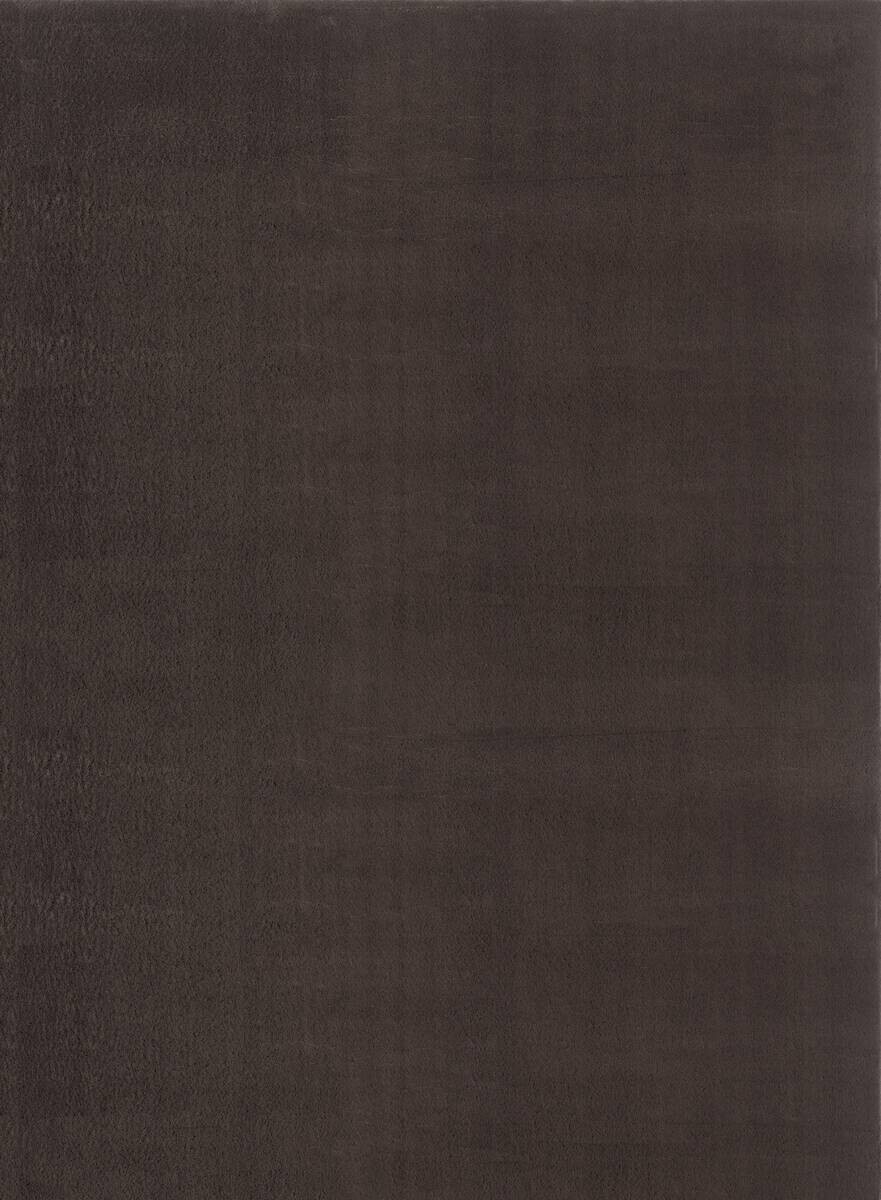 Teppich Cozy braun B/H/L: ca. 80x12x300 cm