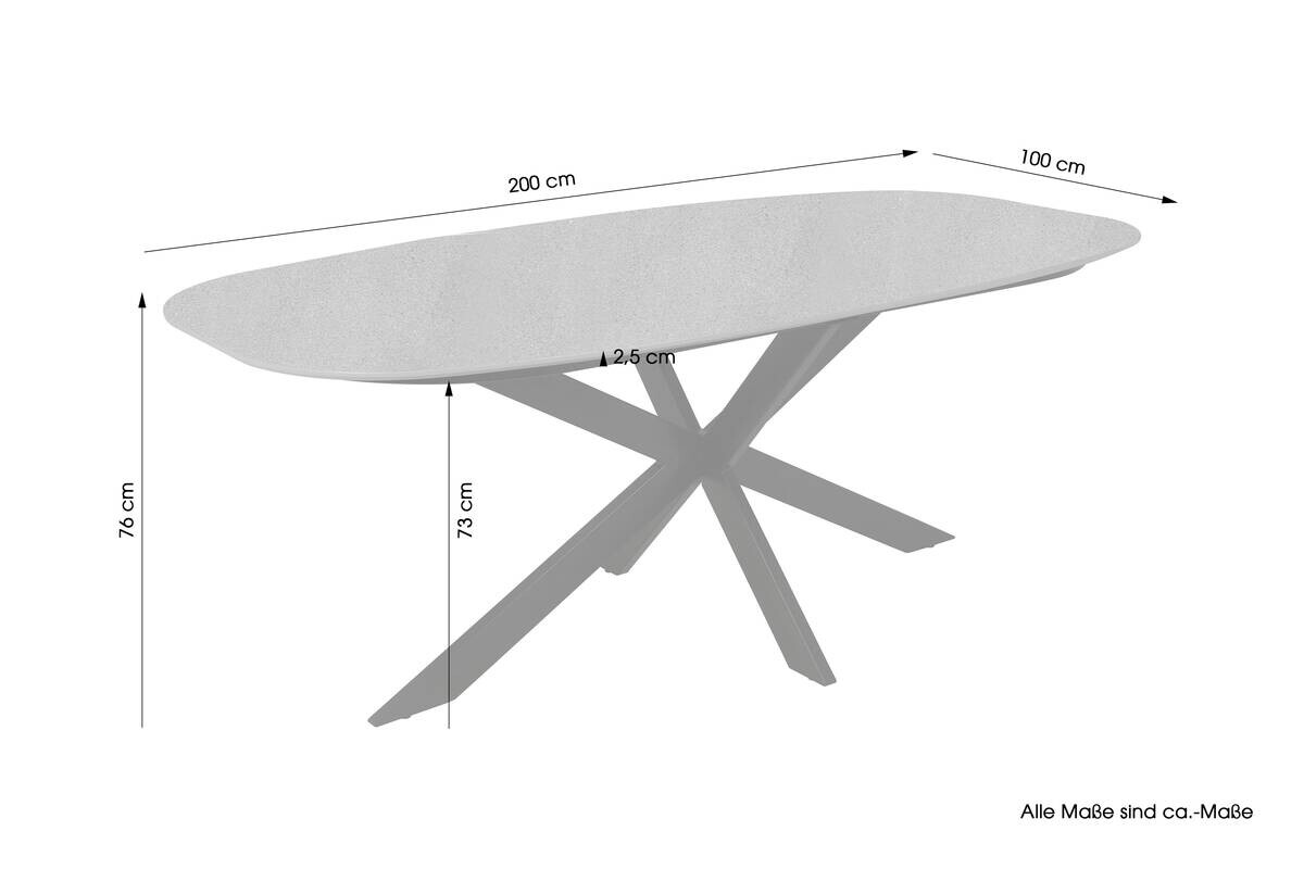 Esstisch OVAL B/H/T: ca. 200x76x100 cm