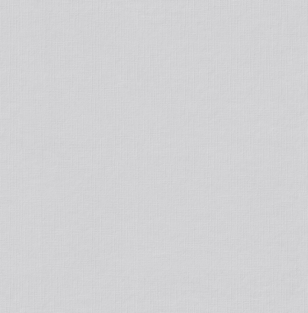 Erfurt Vliestapete Basic 108 weiß B/L: ca. 53x1005 cm