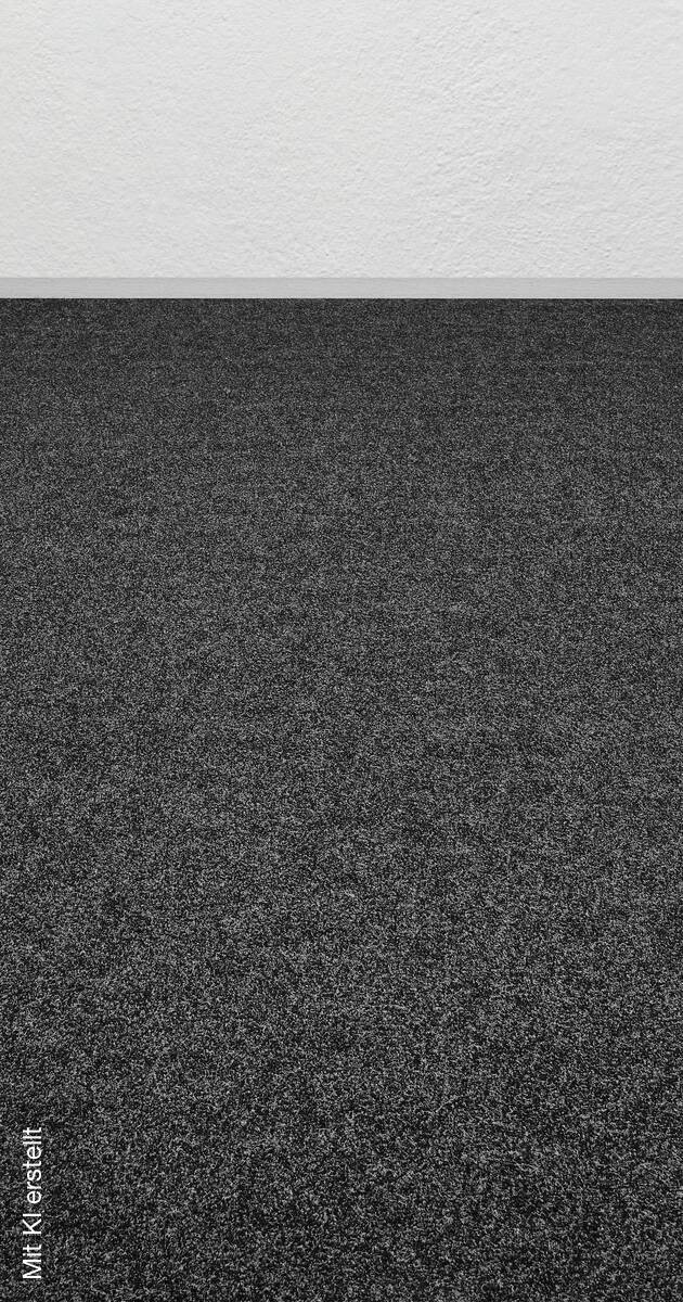 Nadelfilz Sprinter anthrazit B: ca. 200 cm