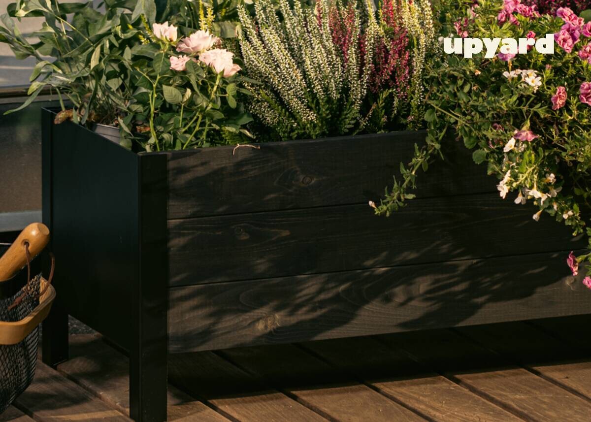 UPYARD Hochbeet MODERN schwarz Holz B/H/L: ca. 36x32x58 cm