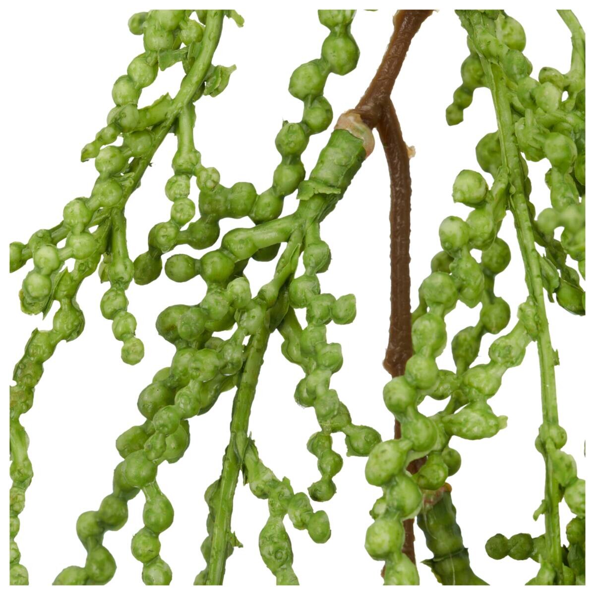 Kunstpflanze Sukkulente hängend grün Kunststoff L: ca. 63 cm