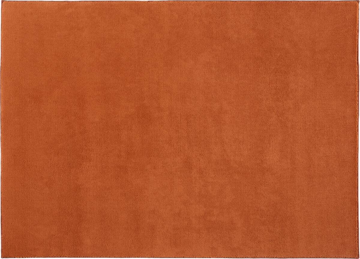 Teppich Casa terra B/L: ca. 115x160 cm