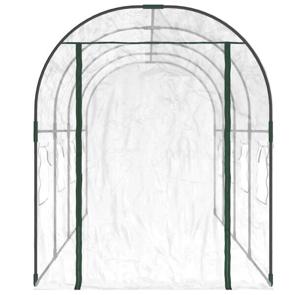 Gewächshaus transparent B/H/T: ca. 160x190x400 cm